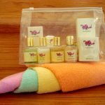 Trasparent make-up bag